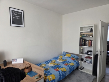 Prodej bytu 2+1 v osobním vlastnictví 54 m², Praha 3 - Žižkov