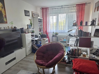 Prodej bytu 2+1 v osobním vlastnictví 54 m², Praha 3 - Žižkov