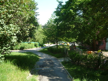 Prodej bytu 2+1 v osobním vlastnictví 54 m², Praha 3 - Žižkov