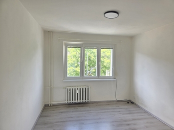 Prodej bytu 2+1 v osobním vlastnictví 54 m², Praha 3 - Žižkov
