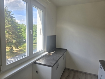 Prodej bytu 2+1 v osobním vlastnictví 54 m², Praha 3 - Žižkov