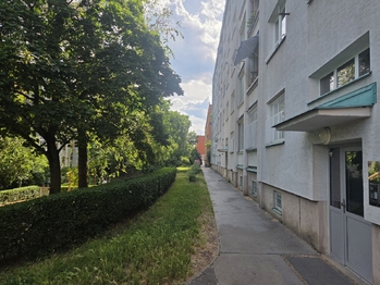 Prodej bytu 2+1 v osobním vlastnictví 54 m², Praha 3 - Žižkov