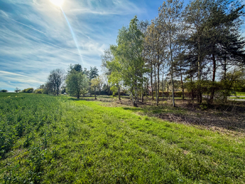 Prodej pozemku 1101 m², Drahlín