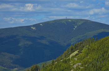 Prodej pozemku 1438 m², Staré Město