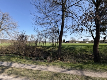 Prodej chaty / chalupy 60 m², Libáň