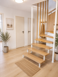 vizualizace vstupní hala - Prodej domu 189 m², Brandýs nad Labem-Stará Boleslav