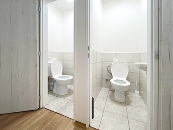 Pronájem bytu atypický v osobním vlastnictví 164 m², Drahelčice