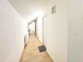 Pronájem bytu atypický v osobním vlastnictví 164 m², Drahelčice