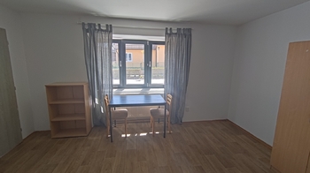 Pronájem bytu atypický v osobním vlastnictví 164 m², Drahelčice