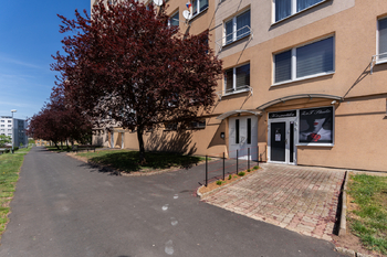 vchod - Prodej bytu 1+1 v družstevním vlastnictví 33 m², Most