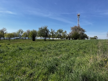 Prodej pozemku 7559 m², Horní Újezd