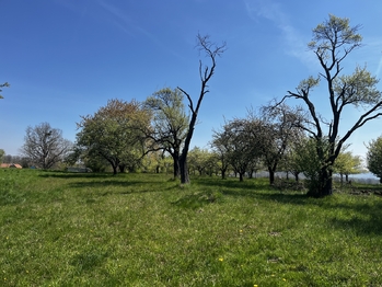 Prodej pozemku 7559 m², Horní Újezd