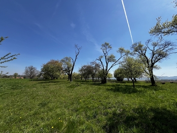 Prodej pozemku 7559 m², Horní Újezd
