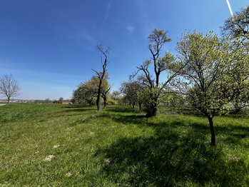 Prodej pozemku 7559 m², Horní Újezd