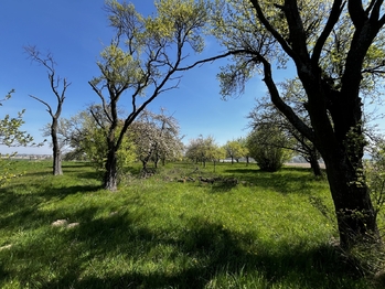 Prodej pozemku 7559 m², Horní Újezd