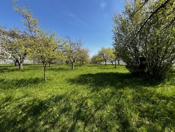 Prodej pozemku 7559 m², Horní Újezd