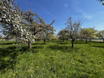 Prodej pozemku 7559 m², Horní Újezd