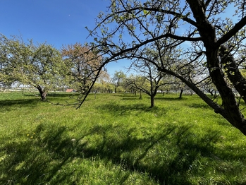 Prodej pozemku 7559 m², Horní Újezd