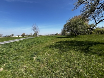 Orná půda - Prodej pozemku 7559 m², Horní Újezd