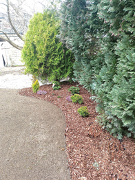 Prodej bytu 3+kk v osobním vlastnictví 114 m², Praha 10 - Dolní Měcholupy