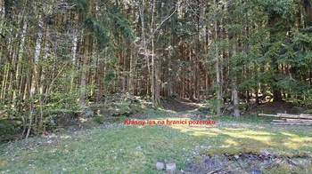 Prodej pozemku 1355 m², Horní Stropnice