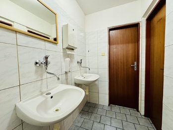 Prodej domu 700 m², Vyškov