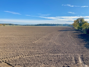 Výhledy do okolní přírody - Prodej domu 123 m², Babice