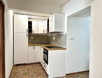 Pronájem bytu 2+kk v osobním vlastnictví 47 m², Praha 10 - Vinohrady