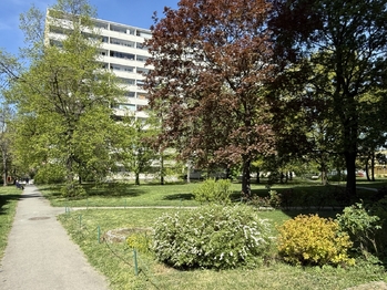 Prodej bytu 3+kk v osobním vlastnictví 61 m², Praha 4 - Lhotka