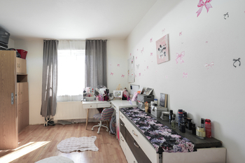 Prodej domu 270 m², Zabrušany