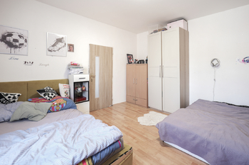 Prodej domu 270 m², Zabrušany