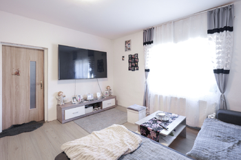 Prodej domu 270 m², Zabrušany