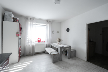 Prodej domu 270 m², Zabrušany