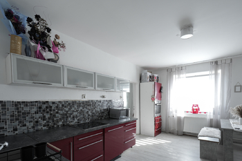 Prodej domu 270 m², Zabrušany