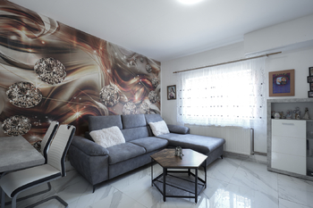 Prodej domu 270 m², Zabrušany