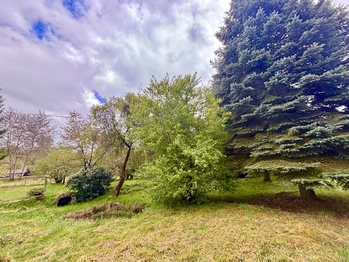 Přední část zahrady - Prodej zemědělského objektu 260 m², Brniště