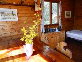 V chatě je útulno. - Prodej chaty / chalupy 54 m², Samopše
