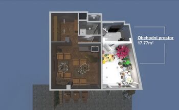 Pronájem obchodních prostor, Praha 3 - Vinohrady