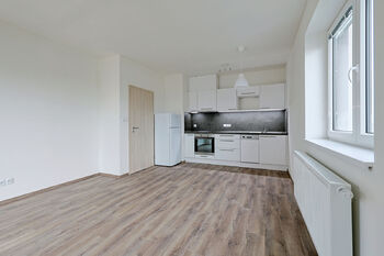 Pronájem bytu 2+kk v osobním vlastnictví 47 m², Plzeň