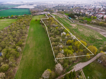 Prodej pozemku 14243 m², Kosmonosy