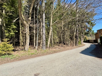 Voděradské bučiny - Prodej domu 139 m², Struhařov
