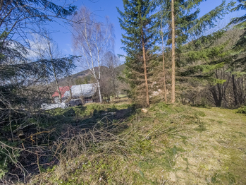 Prodej pozemku 5025 m², Horní Bečva