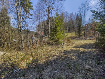 Prodej pozemku 5025 m², Horní Bečva
