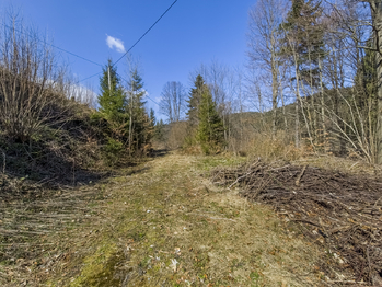 Prodej pozemku 5025 m², Horní Bečva