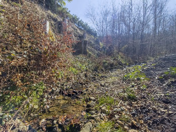 Prodej pozemku 5025 m², Horní Bečva