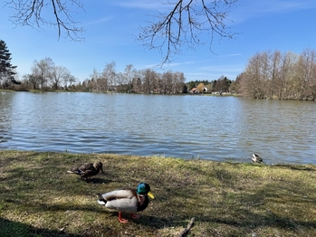 Rybník - Prodej domu 111 m², Struhařov