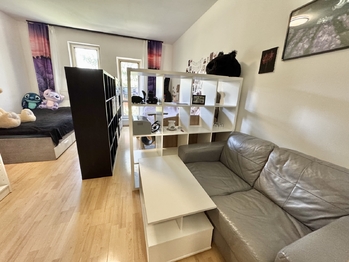 Pronájem bytu 1+kk v družstevním vlastnictví 28 m², Hostivice