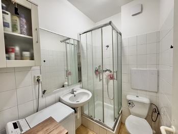 Pronájem bytu 1+kk v družstevním vlastnictví 28 m², Hostivice