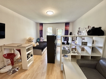 Pronájem bytu 1+kk v družstevním vlastnictví 28 m², Hostivice