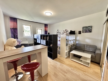 Pronájem bytu 1+kk v družstevním vlastnictví 28 m², Hostivice